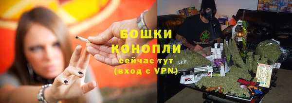 mdpv Вяземский