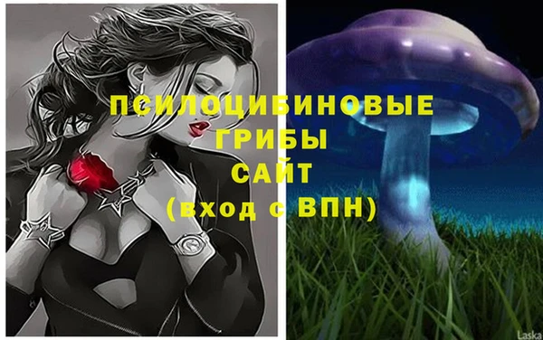 ECSTASY Вязники