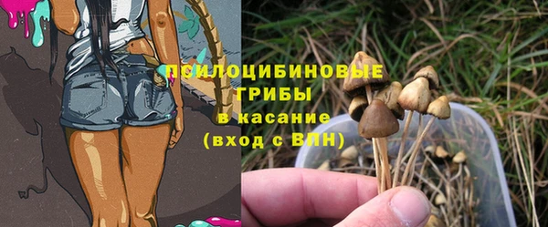 ECSTASY Вязники