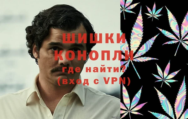 mdpv Вяземский