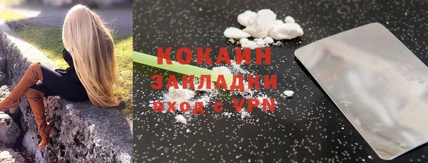 mdpv Вяземский