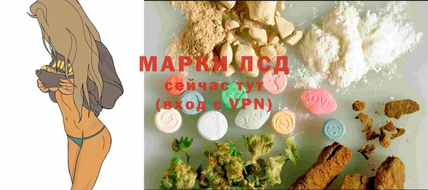 mdpv Вяземский