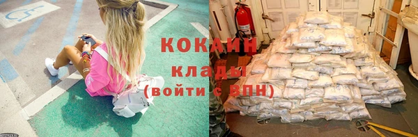 mdpv Вяземский