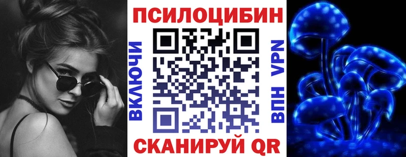 где купить наркотик  Инсар  Галлюциногенные грибы GOLDEN TEACHER 